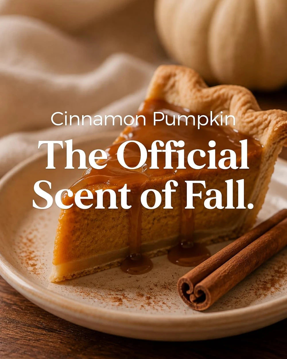M&Sense Cinnamon Pumpkin Scented Jar Candle