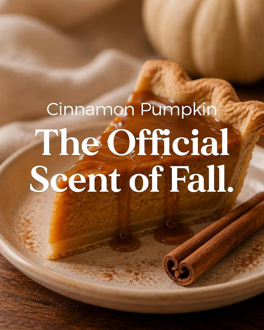 M&Sense Cinnamon Pumpkin Scented Jar Candle